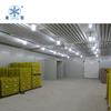 60CBM small cold room for fruit and vegetable 