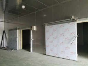 Stainless Steel Cold Room for Meat